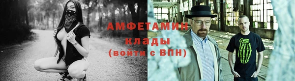 индика Покровск
