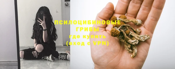 индика Покровск