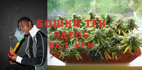 дурь Покачи