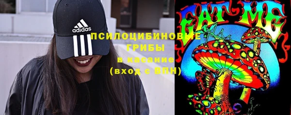хмурый Покров