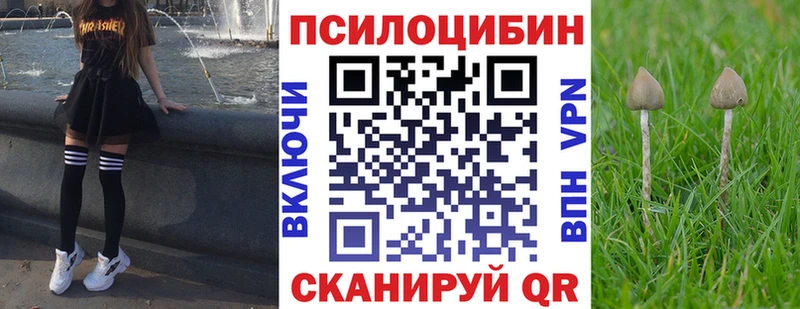 Купить закладки  Дагестанские Огни  Галлюциногенные грибы Cubensis 